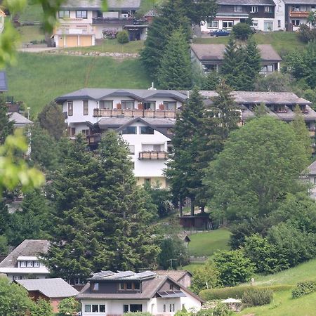Todnauerberg Hotel Im Schwarzwald 托特瑙贝格 外观 照片