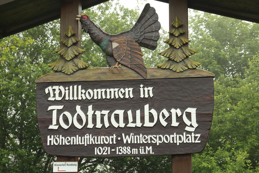 Todnauerberg Hotel Im Schwarzwald 托特瑙贝格 外观 照片