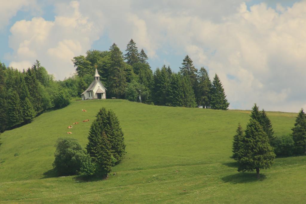 Todnauerberg Hotel Im Schwarzwald 托特瑙贝格 外观 照片