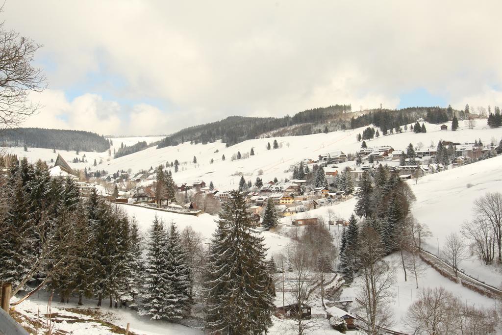 Todnauerberg Hotel Im Schwarzwald 托特瑙贝格 外观 照片