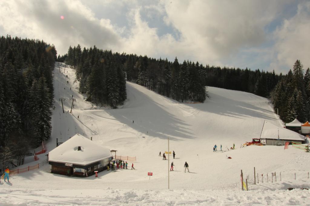 Todnauerberg Hotel Im Schwarzwald 托特瑙贝格 外观 照片