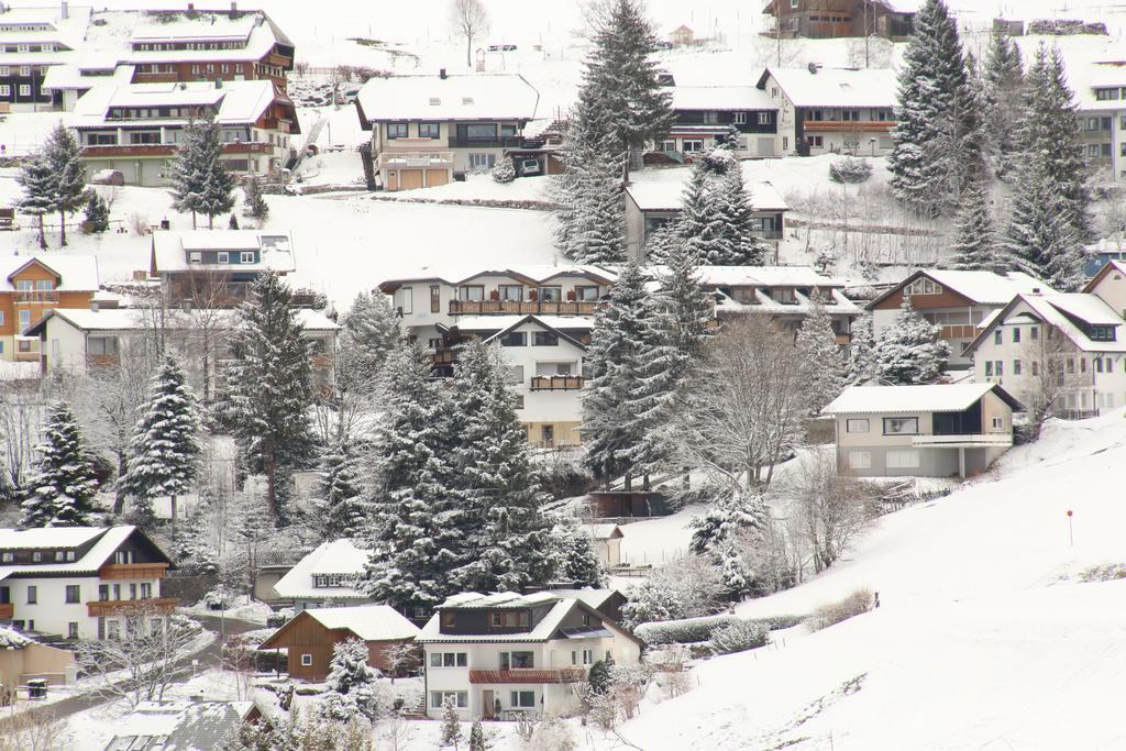 Todnauerberg Hotel Im Schwarzwald 托特瑙贝格 外观 照片