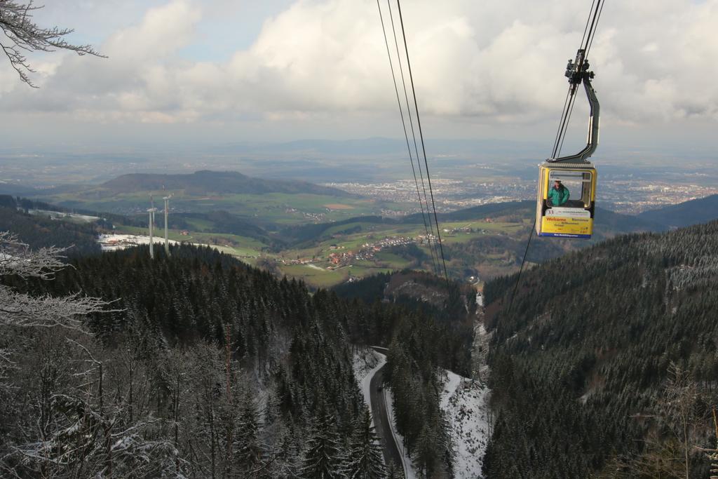 Todnauerberg Hotel Im Schwarzwald 托特瑙贝格 外观 照片